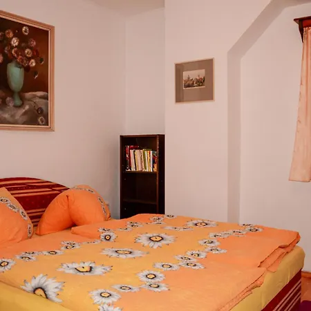 U Sviráků Appartamento *
